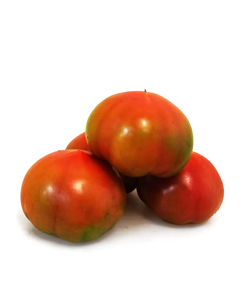 pomodori tondi verdi