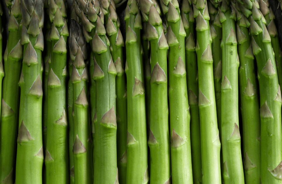 foto di asparagi uno vicino all'altro che formano una base